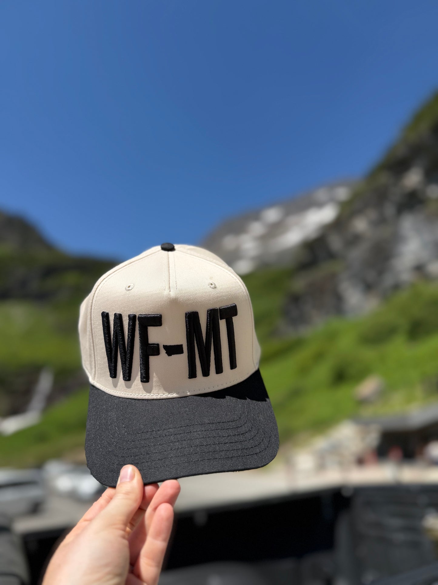 WF|MT Snapback